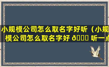 小规模公司怎么取名字好听（小规模公司怎么取名字好 🐒 听一点）